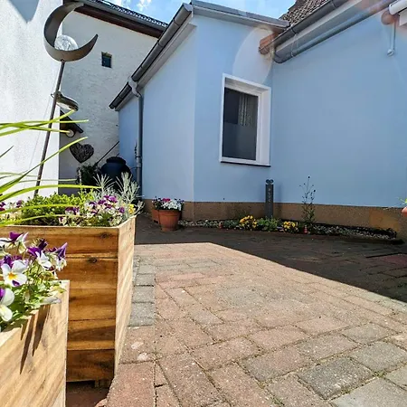 De Luette Seileree * Heringsdorf (Usedom)